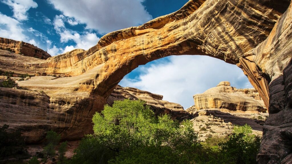 Large natural sandstone arch with blue sky and green trees below resembling Devils Bridge Trail scenery in Sedona Arizona