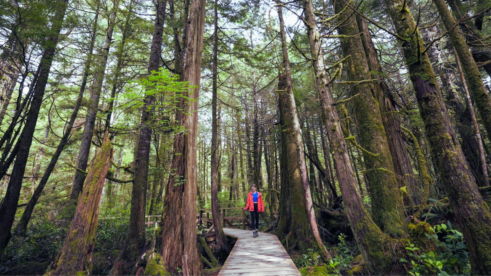 Hike Scenic Coastal Trails
