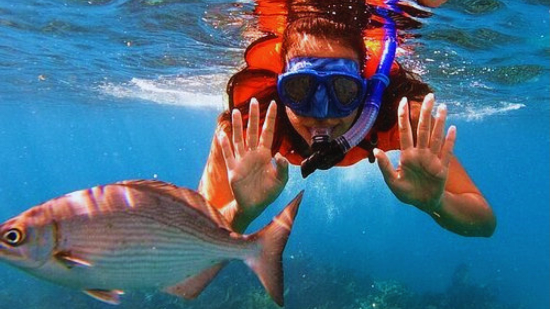 Woman snorkeling underwater waves at tropical fish while wearing blue mask and red life vest in Key West.