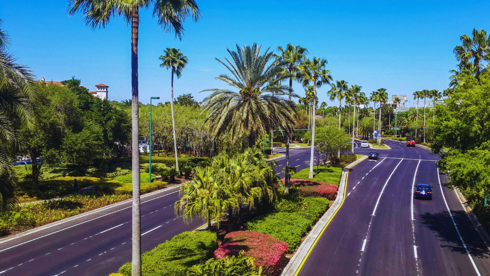 Best Time to Visit Orlando