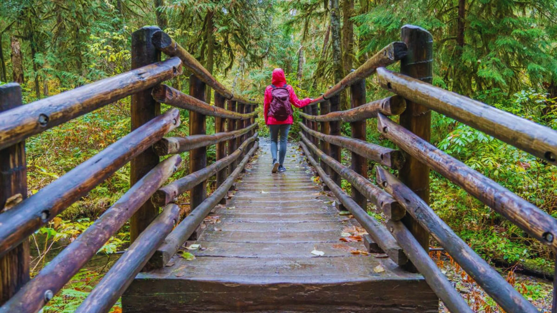 Photograph the Beautiful Wallace Falls