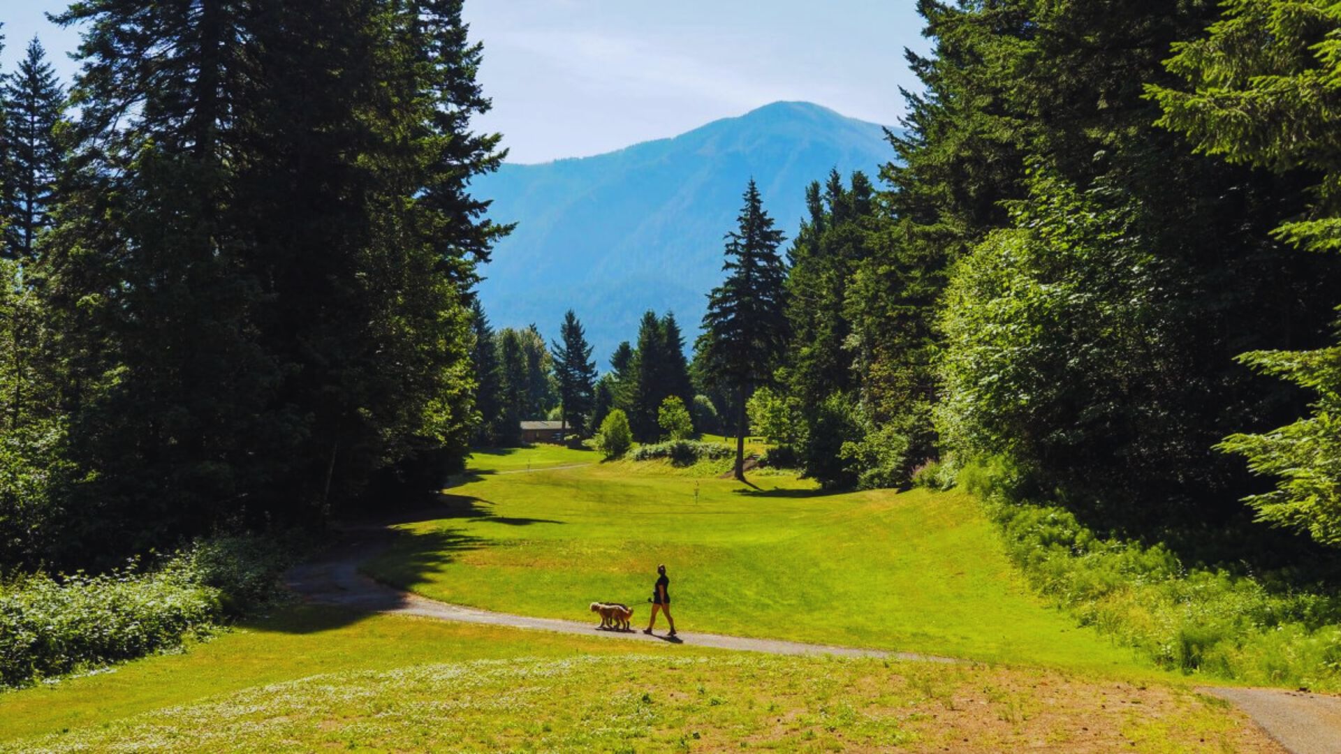 Take a Road Trip Through the Columbia River Gorge