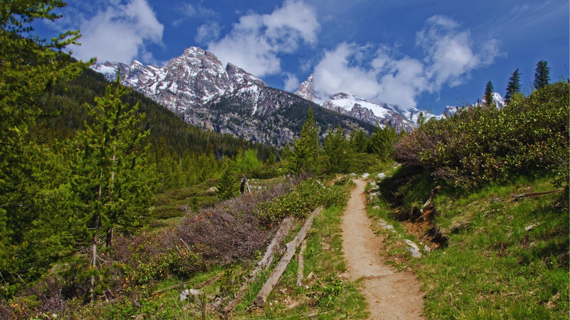Narrow dirt path of Taggart Lake Trail winds through sagebrush and pine trees toward dramatic snow-covered Grand Teton peaks ahead.