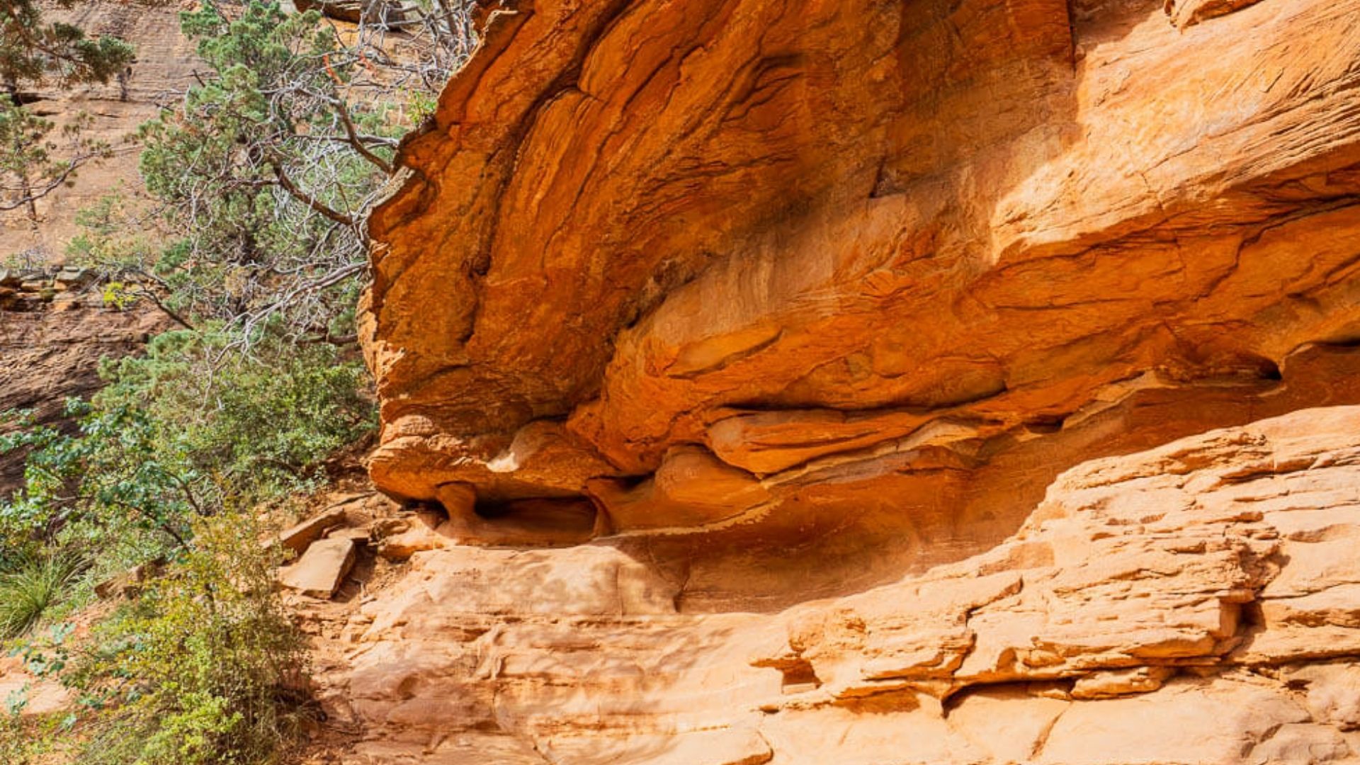 Layered orange sandstone cliff face with desert trees along Devils Bridge Trail in Sedona Arizona