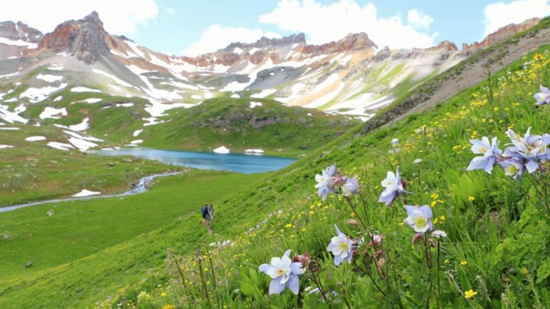 Colorado columbine wildflowers bloom beside Ice Lake Colorado trail with hikers, blue lake, and snow-capped peaks beyond.