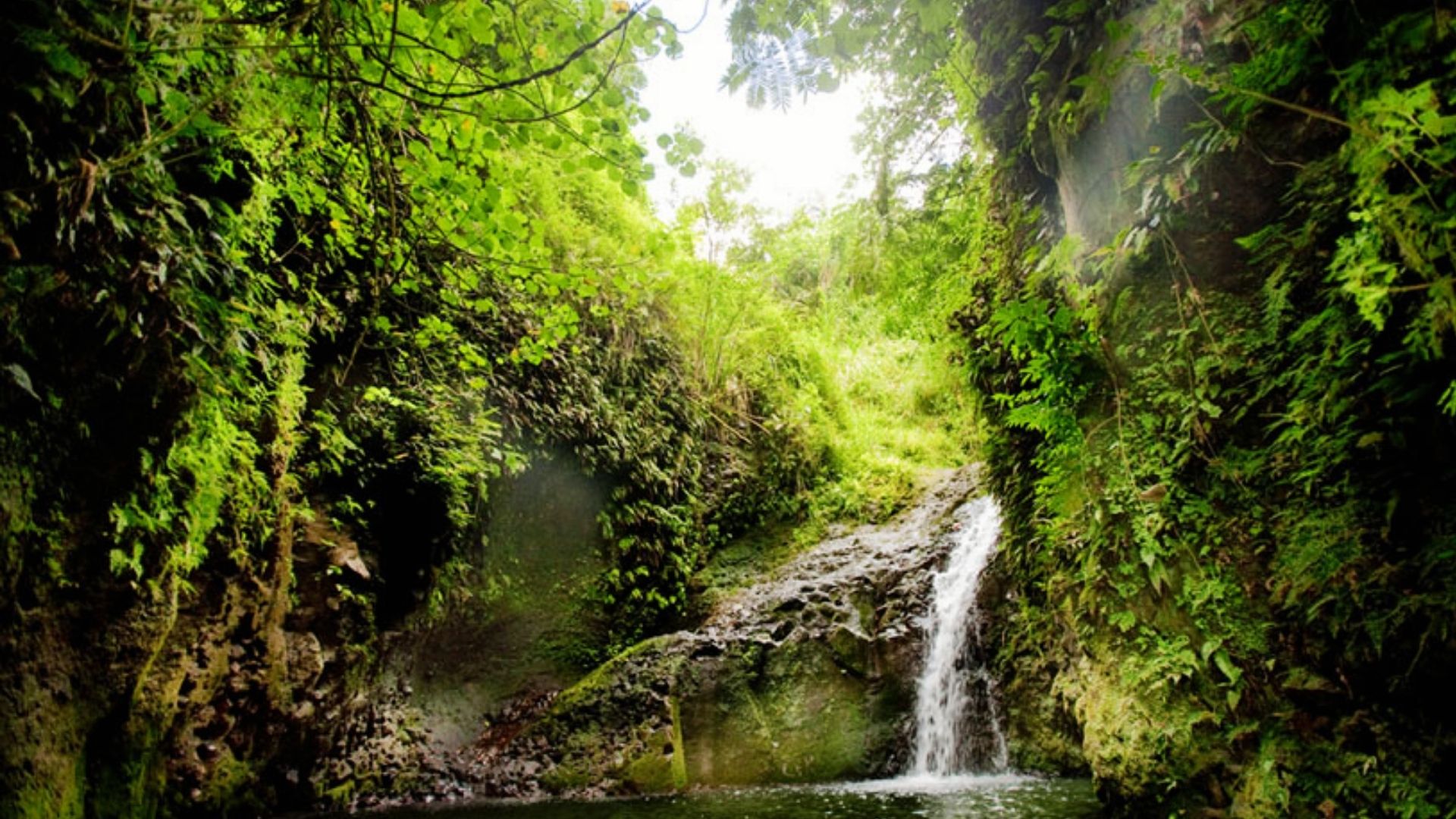Maunawili Falls cascades into a clear pool surrounded by lush green cliffs and tropical jungle in Oahu Hawaii