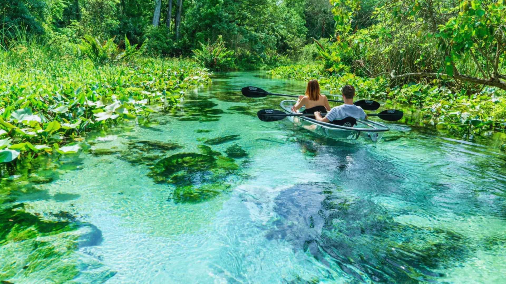 Clear Kayaking at Rock Springs Run