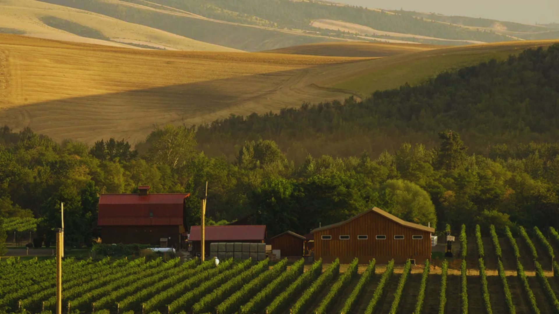 Go Wine Tasting in Walla Walla