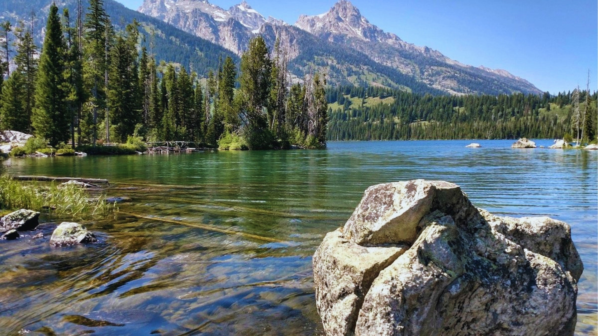 Serene Taggart Lake foreground features large boulders and clear shallows with dense pines and Teton summits under summer sky.