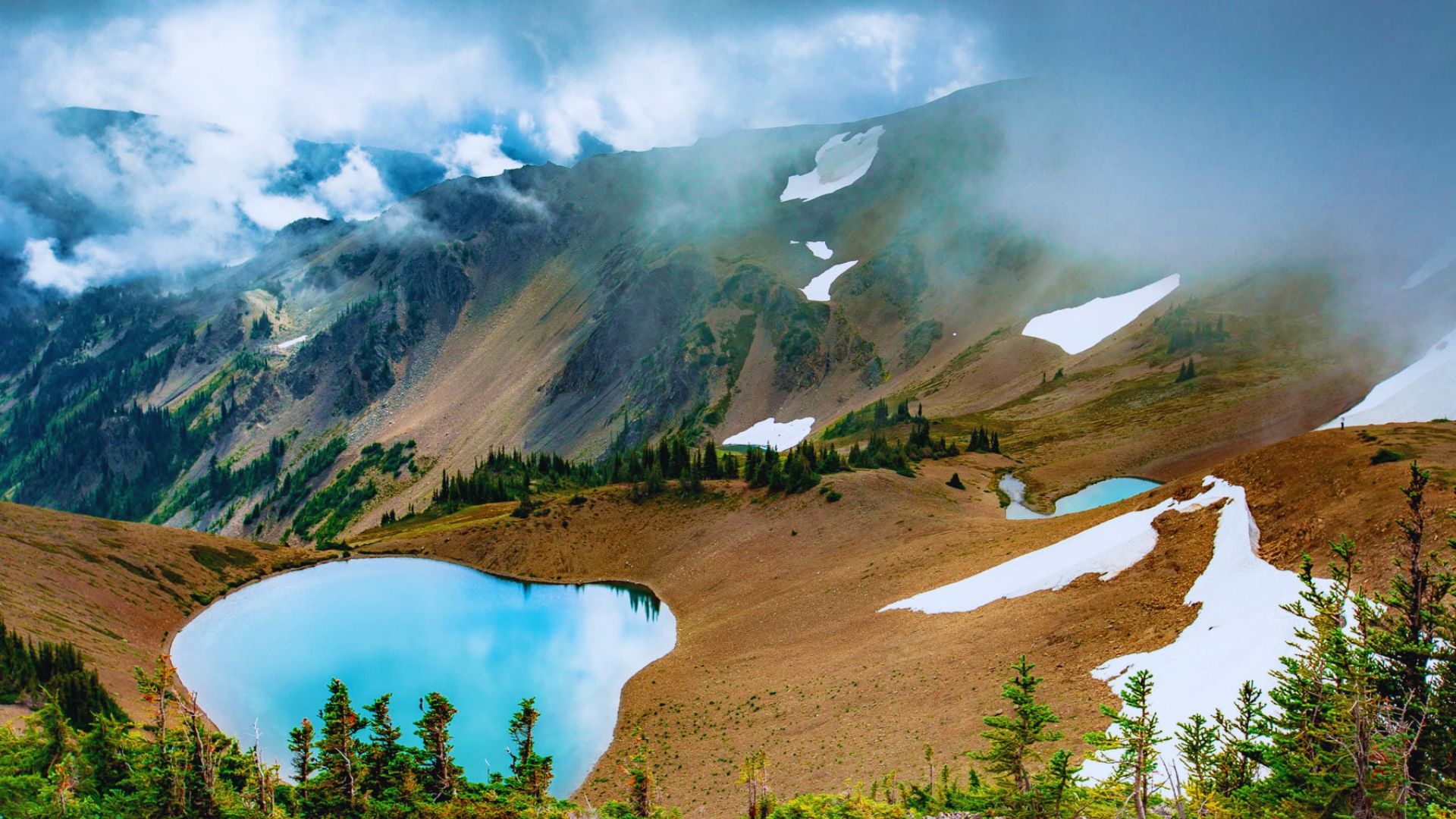 Stay Overnight in Olympic National Park
