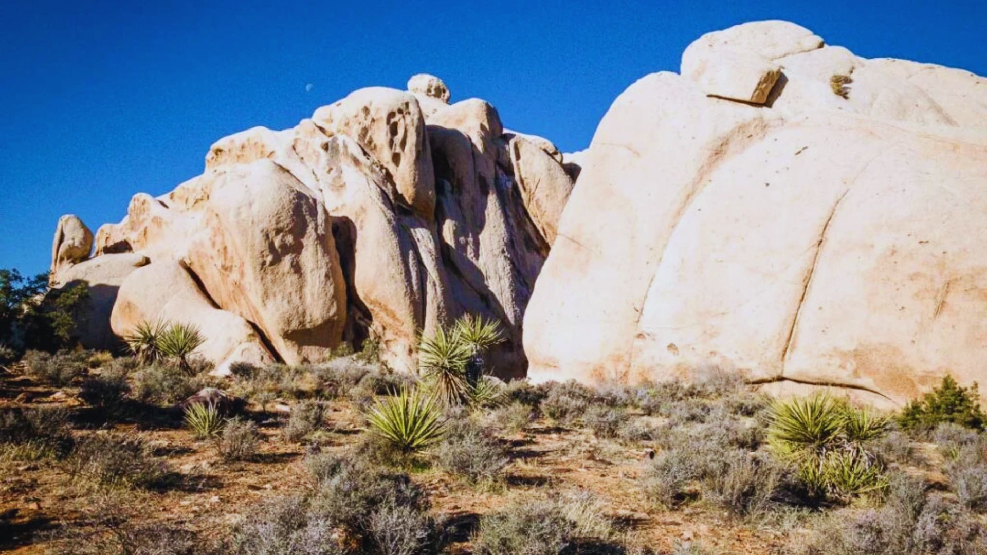Hike Ryan Mountain