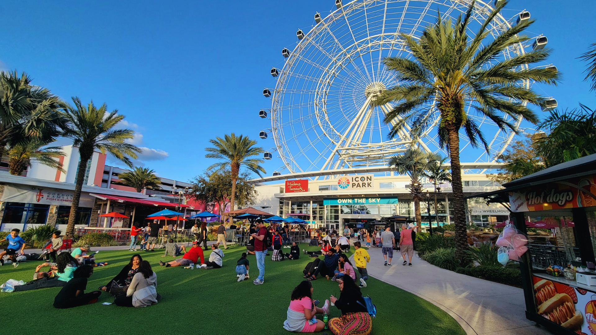 Visit ICON Park