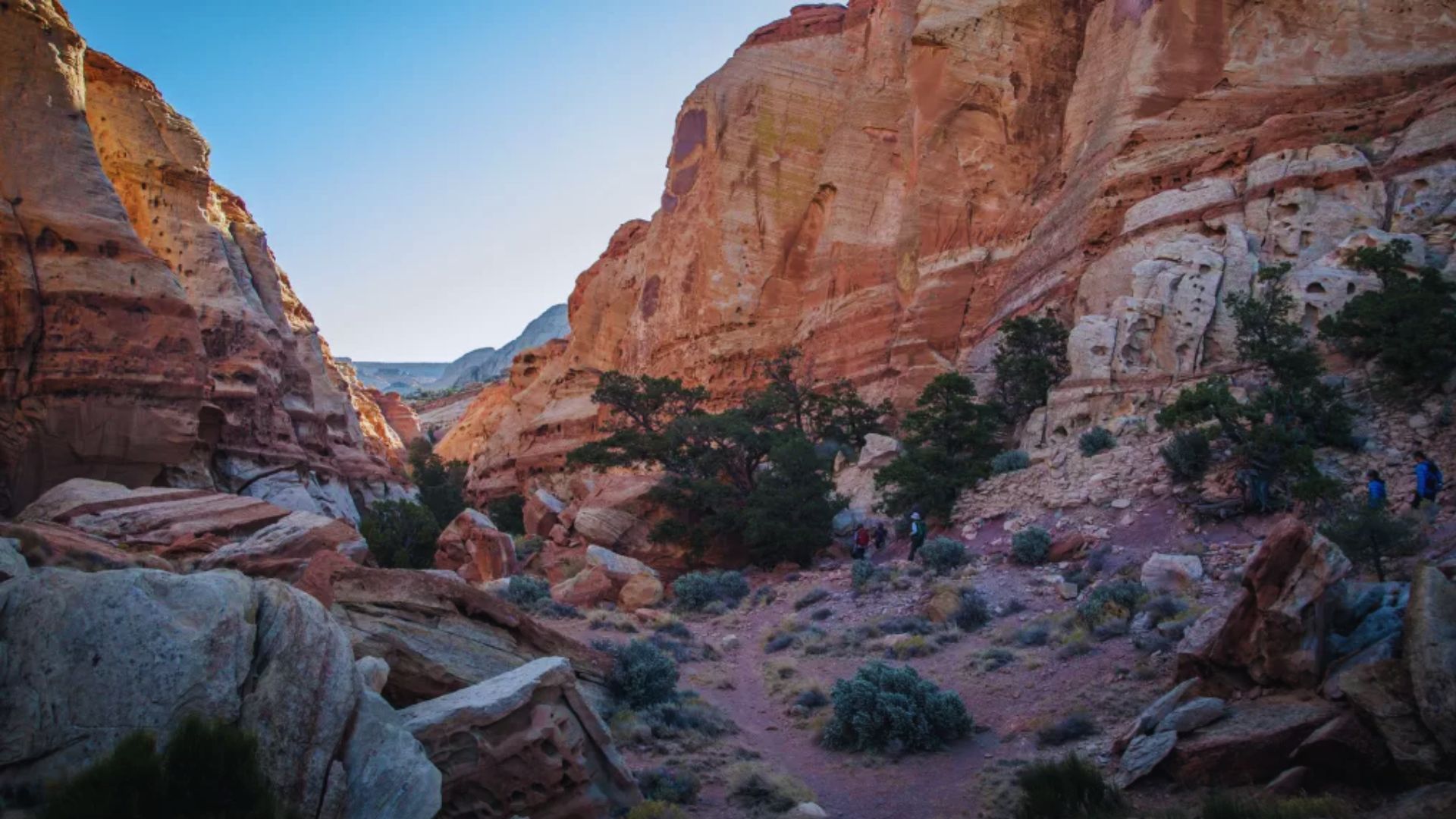 Cohab Canyon