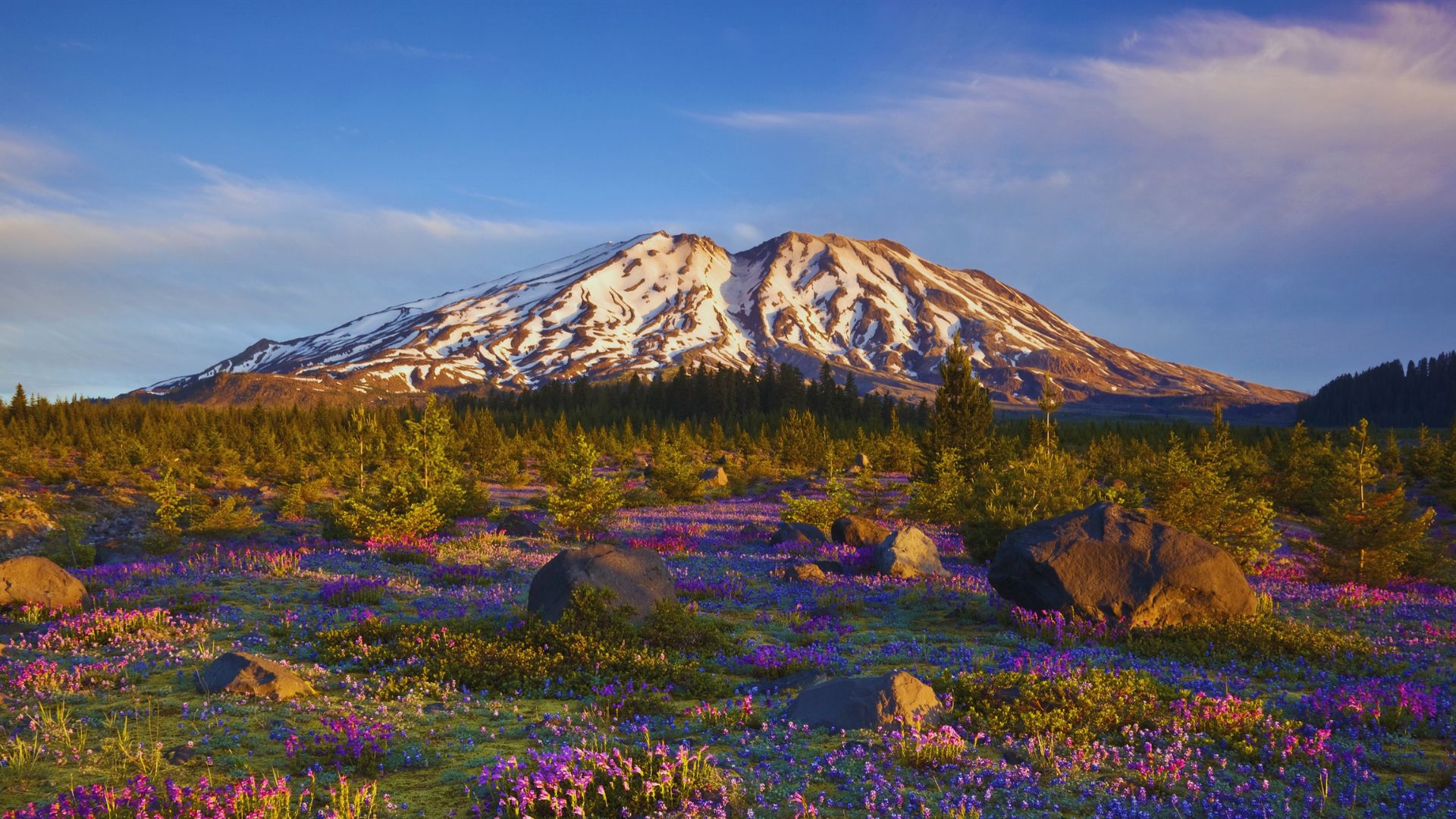 Climb the Volcano at Mount St. Helens