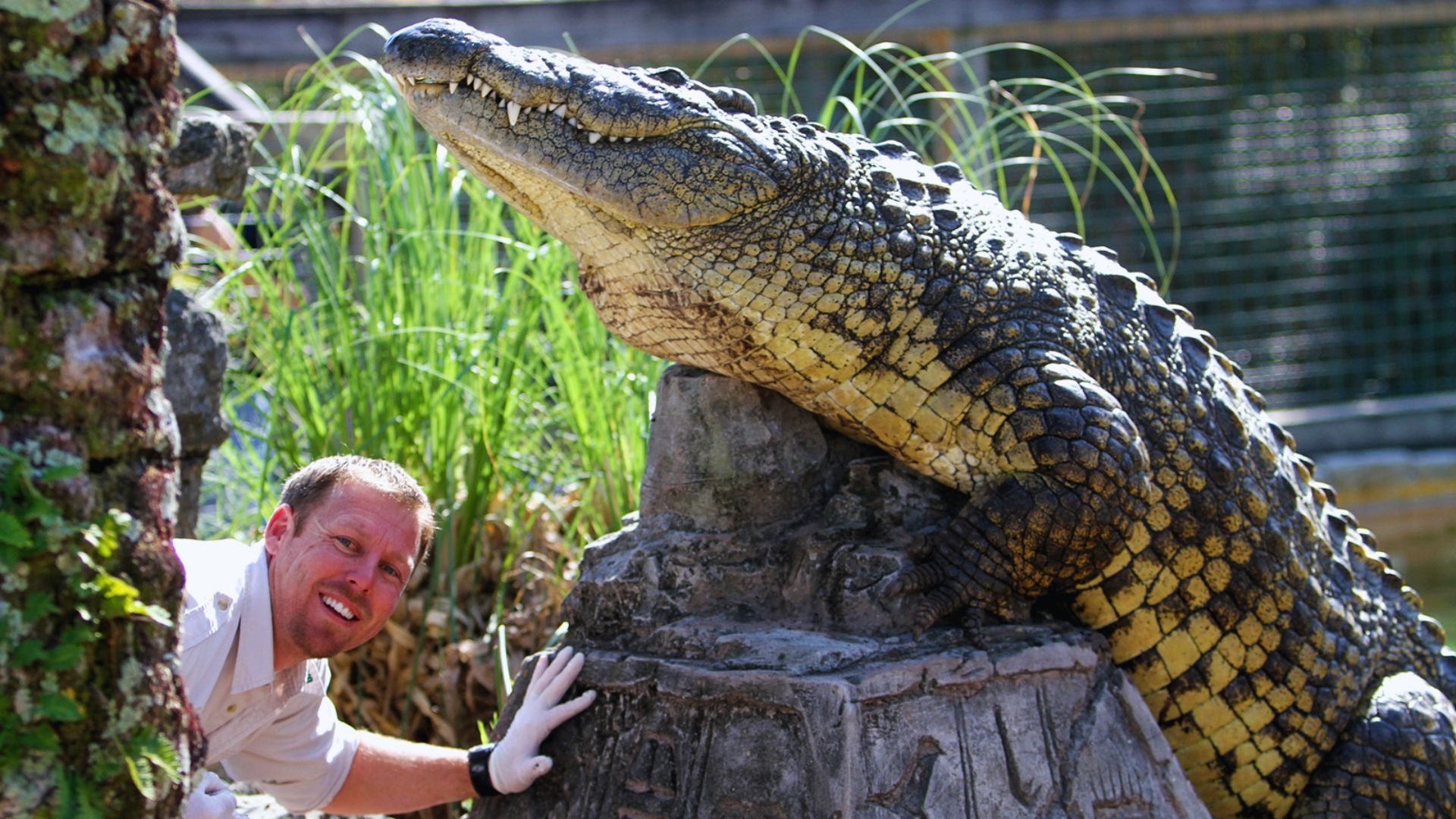 Visit Gatorland