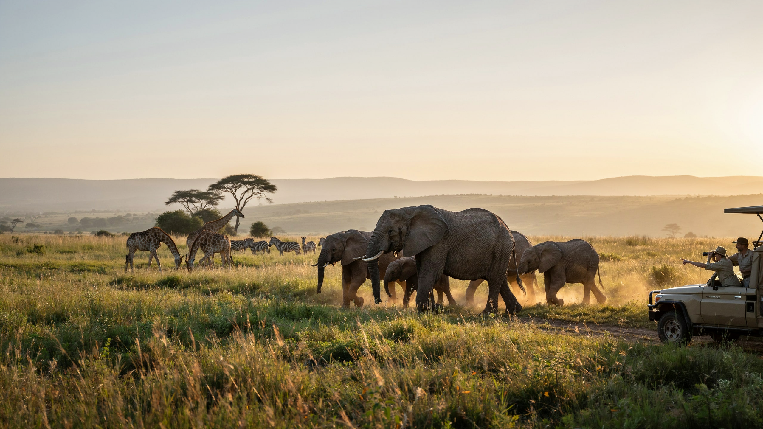 5 Epic Wildlife Trips to Plan at Least Once